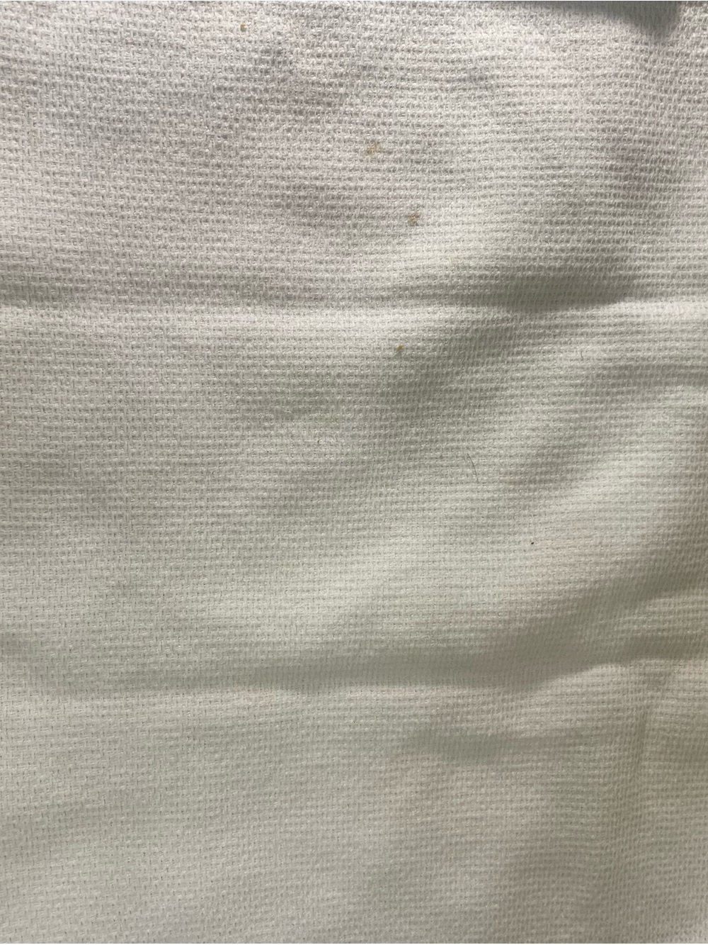 Vintage White Kitchen Towels with Embroidered Orange Citrus Border - Picture 8 of 10